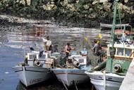 Artes e aparellos de pesca e marisqueo